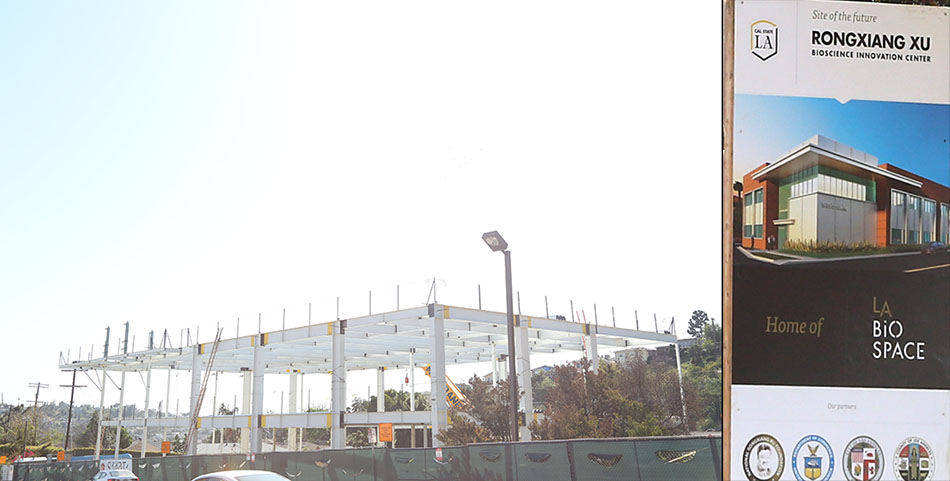 suncitygroup̫(й)-ٷվ